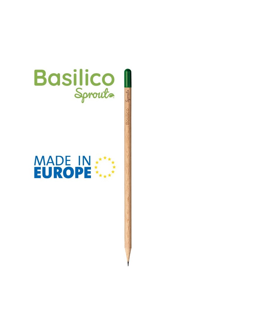 BASILICO