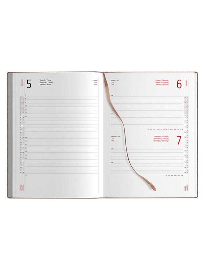 AGENDA GIORNALIERA CON FLAP