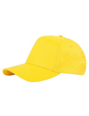 PM101GI