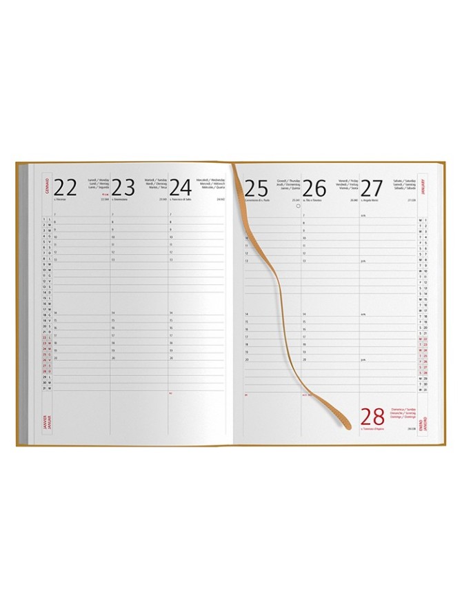 AGENDA SETTIMANALE ECO