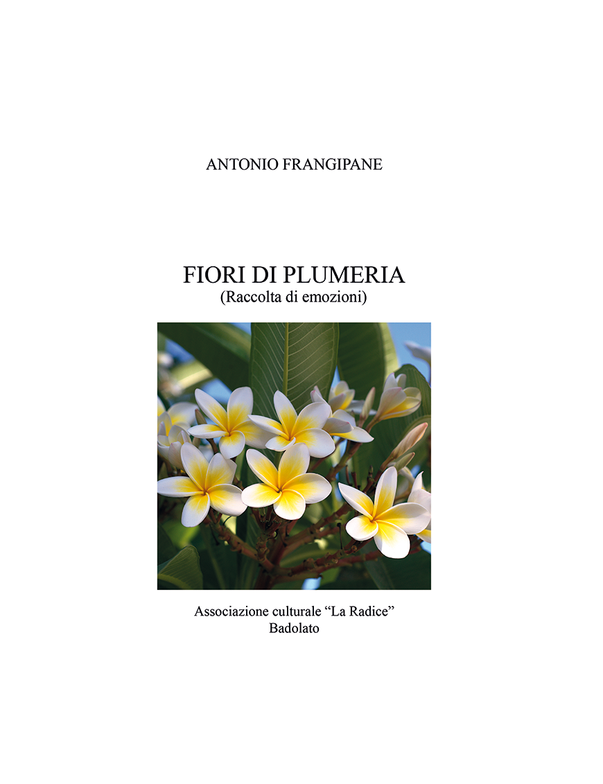 Fiori di Plumeria